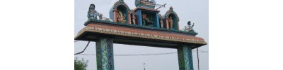 218. திருஎருக்கத்தம் புலியூர்